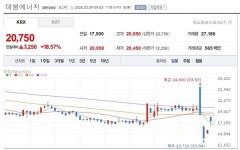 [특징주] 대명에너지, 국제유가 100달러 돌파에 신재생에너지 기대감 부각