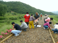 대전충남지방병무청, 1사1촌 자매결연마을 일손 도와