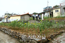 대동 판자촌 해바라기 마을로 ‘변신’