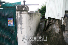 대동 판자촌 해바라기 마을로 ‘변신’