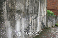 대동 판자촌 해바라기 마을로 ‘변신’