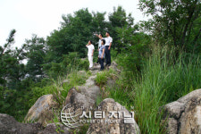 대동 판자촌 해바라기 마을로 ‘변신’