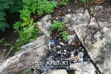 대동 판자촌 해바라기 마을로 ‘변신’