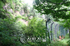 대동 판자촌 해바라기 마을로 ‘변신’