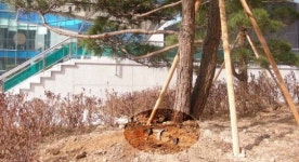 중구 우리들공원 문제 있다