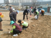 회덕동, 우리동네 꽃동네 !