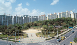 대전시 VS 대덕구 이번엔 마당 싸움