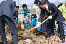 대전정부청사 도시숲 1단계 완공