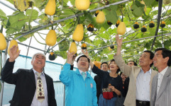 선녀들의 보물창고 선창마을로 오세요