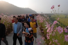 공주시, 17일 마곡사 코스모스 10리길 이색 걷기 행사