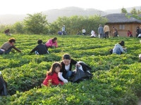 공주시 농업기술센터, 농촌문화 체험 기술전수에 구슬땀