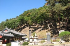 사찰·문화재 주변 숲가꾸기, 산불방지 효과