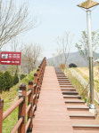 전설속 효자가 대덕구 사람