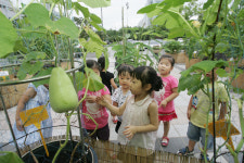 서구청사 광장, 전통생활식물과 한국의 꽃 전시