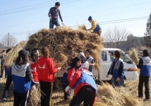 대학적십자 RCY..1박2일 농촌 일손돕기 봉사활동
