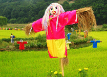 대청호반길 제3코스 노고산성 해맞이 길·청남대 조망 길