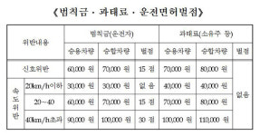 도안동로가 고속도로냐 1달간 1만건 이상 위반