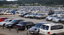 인삼엑스포 들쑥날쑥한 관람객수 논란