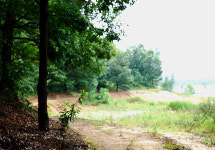 대청호반길 제6코스 국화향 연인 길·연꽃마을 길