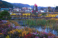 대청호반길 제6코스 국화향 연인 길·연꽃마을 길