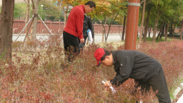 송촌생활체육공원 식재된 나무 수량은?