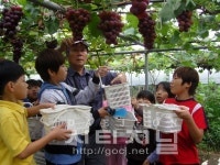 천안시, 가을을 담아낸 농촌문화체험 인기 높아