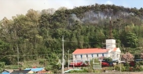 충남 홍성군 광천읍 야산서 산불 발생