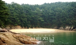 힐링 공간 충남의 아름다운 섬  어디