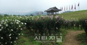 서산 해미읍성 무궁화동산 전국 2위