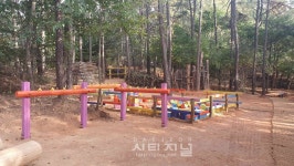 천안시, 스마트폰 대신 숲에서 놀자 유아숲체험원 조성 개장
