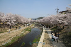 2023 찾아가는 예술 무대 문화가 흐르는 산책로 열려