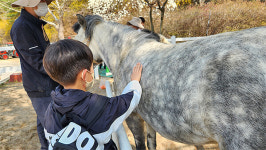 개방형 공공 승마장 전환 복용 승마장서 체험 승마 시범 운영