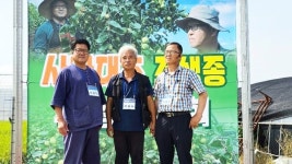 송림농원, 조생종 왕대추 추황 개발 눈길