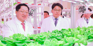 도심 공실 활용 테마형 대전팜 문 열어