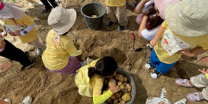 복용 도시 농장서 수확 감자 대전 광역 푸드 뱅크에 기부