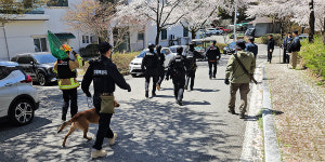 대전 오월드 동물원서 늑대 탈출 현재 수색 중