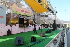 천안문화재단, 원성천 벚꽃길 문화가 흐르는 산책로 마무리