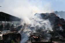 영천 화남면 선천리 축사화재