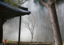진명21(주), 제품 우수성 또한번 과시