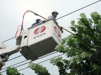지식경제부, 전국 834만개 전봇대 일제 점검