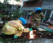 중부소방서, “벌집 제거”로 시민의 안전을 지킨다.