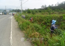 영암 미암면의용소방대, 생태계 저해하는 칡덩굴 제거 앞장