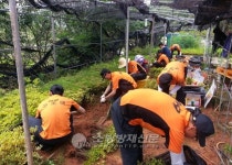 순천소방서, 농촌일손돕기 봉사에 나서