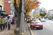 여수소방서, 소방차 퍼레이드 및 불조심 가두캠페인