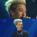 빅뱅 태양, 과거 헤어스타일 언급 아프리카 동물, 정글의 법칙 보면 하고 싶어져