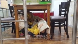 구로소방서, 기쁨 어린이집 ‘우리는 안전 어린이’ 체험 학습