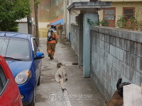 조치원소방서, 소방차 진입곤란 지역 주민참여 소방훈련
