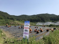 보성소방서, 사랑의 농촌일손돕기 동참