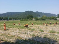 의령소방서, 봄철 농촌 일손돕기에 구슬땀 흘려