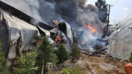 고양 원당동 메추리농장 화재… 비닐하우스 2동 전소